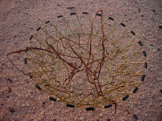 the