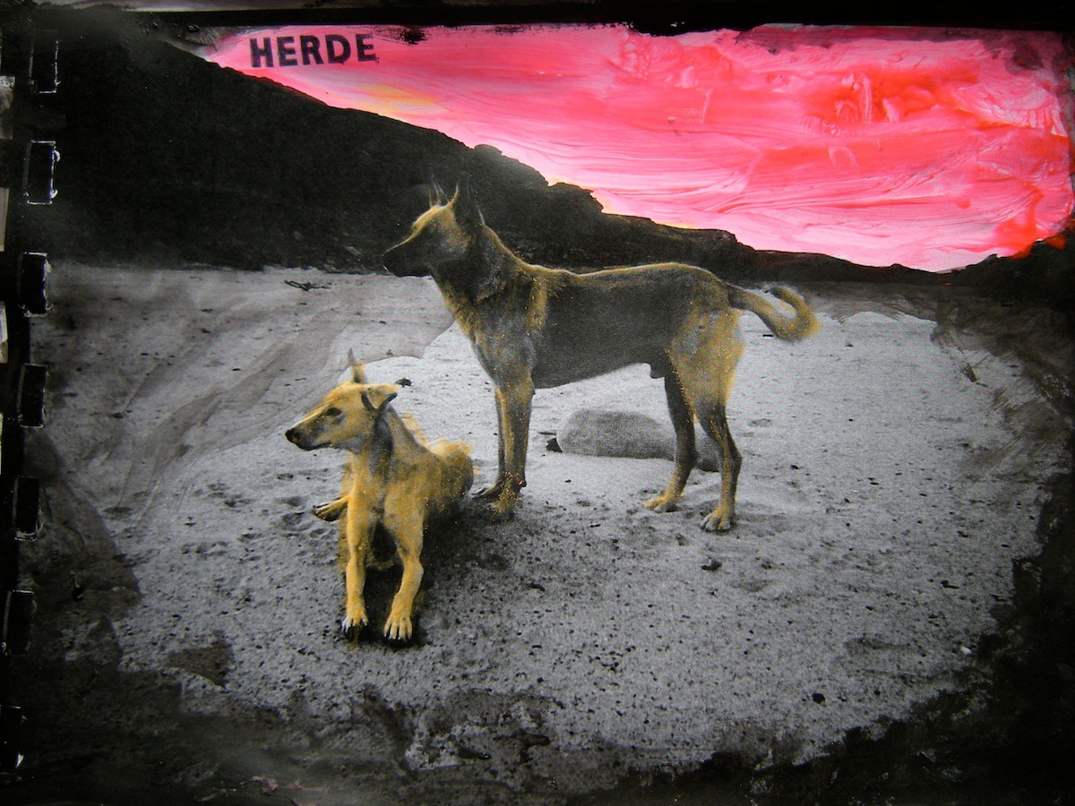 Dogs Astral Sculpture Data Exchange 2008 14