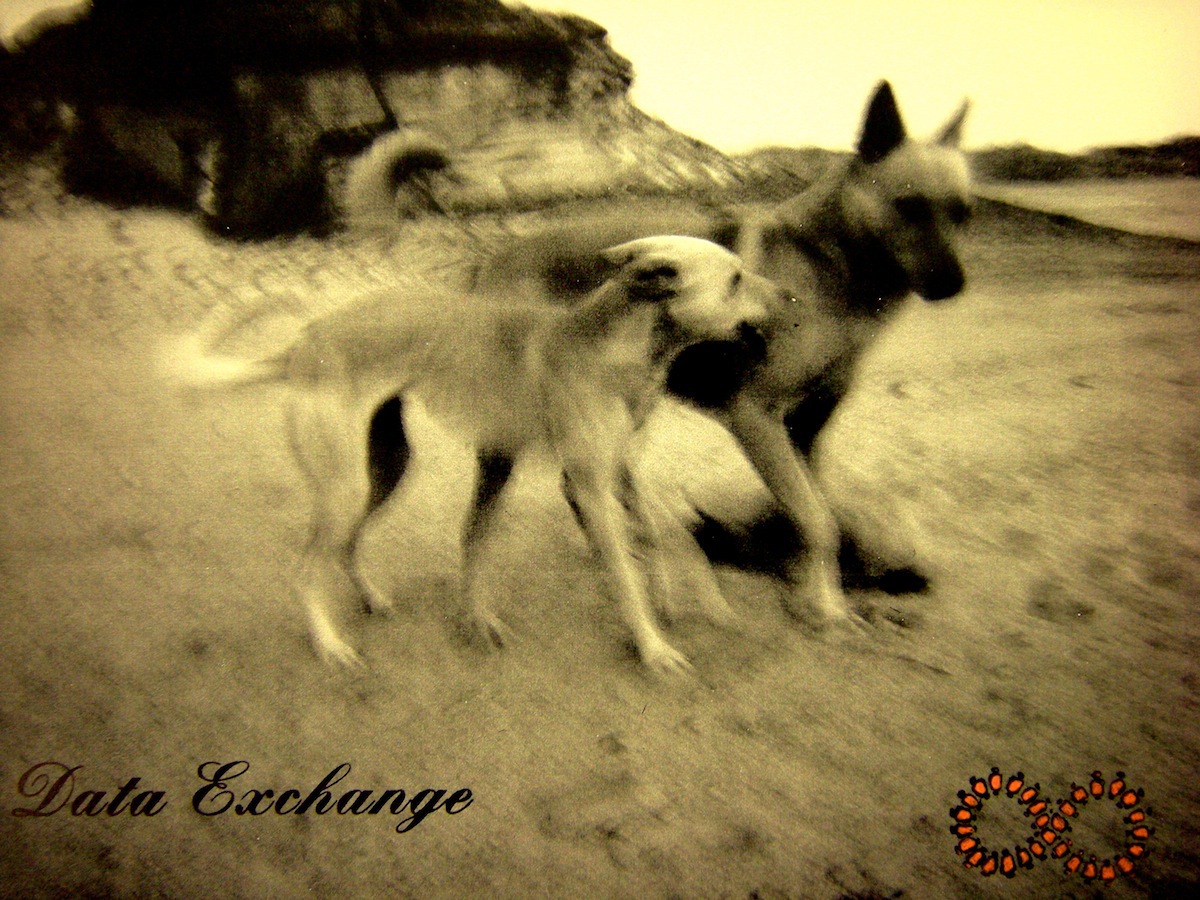 Dogs Astral Sculpture Data Exchange 2008 19
