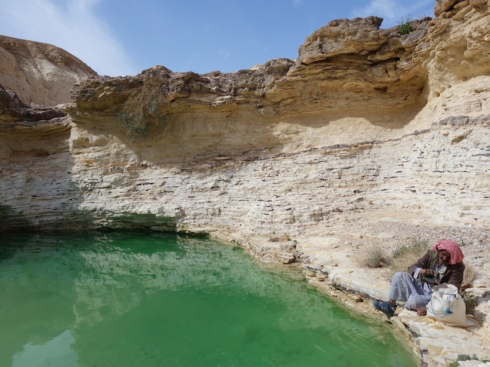 Waterhole