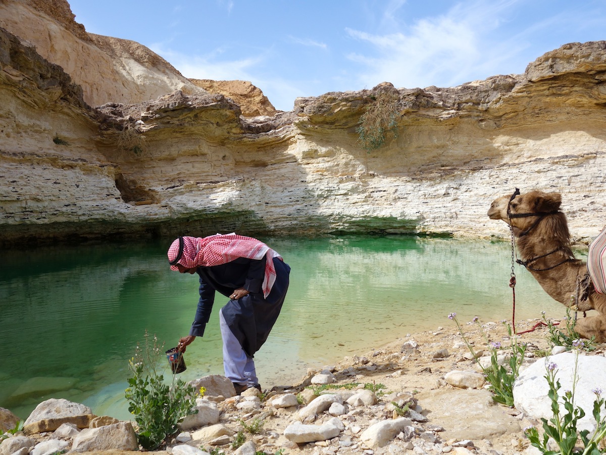 Waterhole Southsinai Dataexchange2013 4