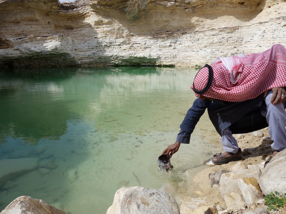 Waterhole