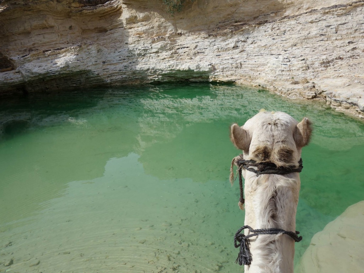 Waterhole