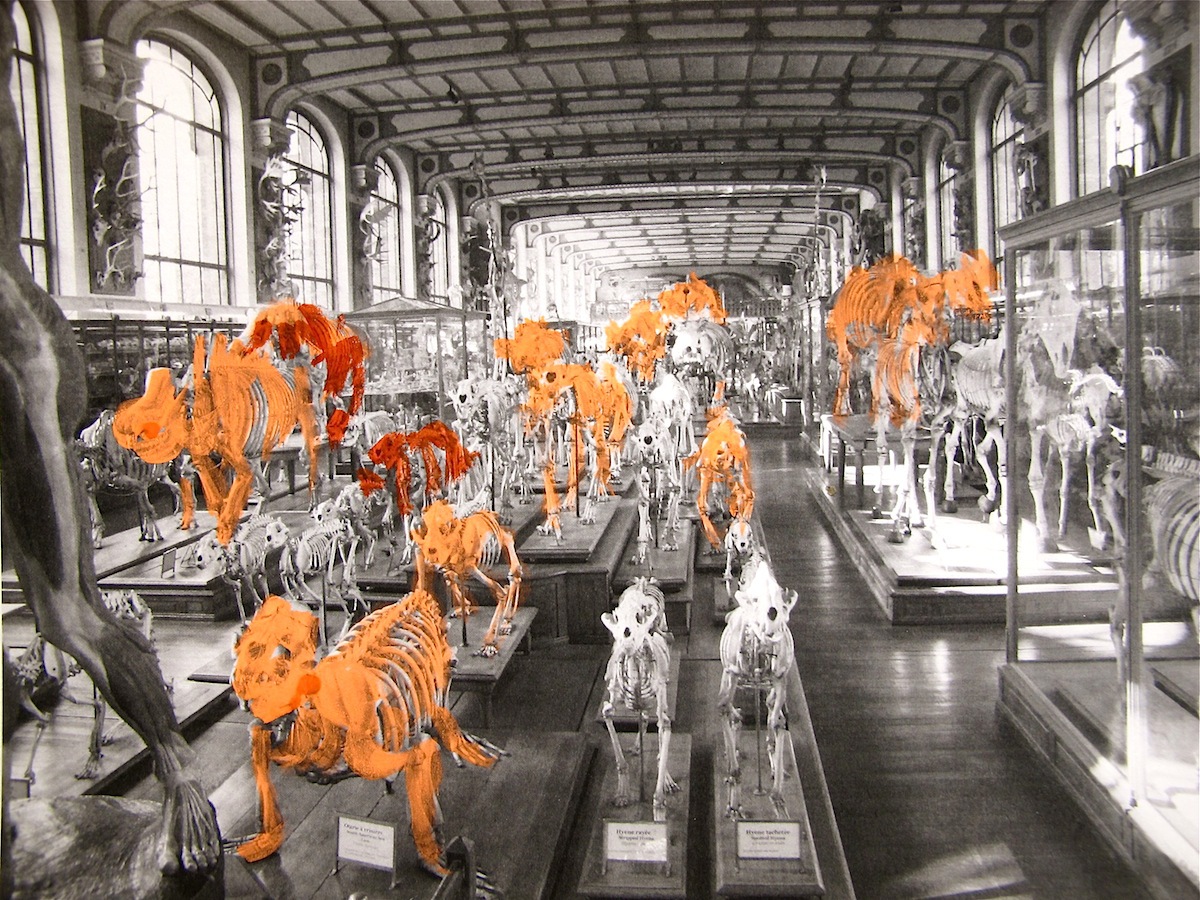 Cross Creatures Stills 2011 6