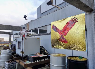 Exhibition For Birds By Barbara Anna Husar