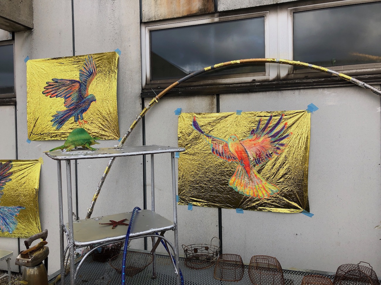 Exhibition For Birds By Barbara Anna Husar 2019 29
