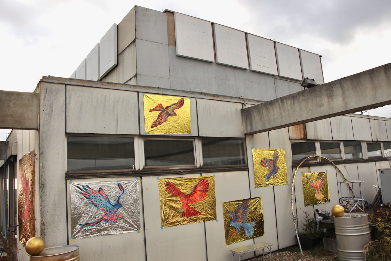 Exhibition For Birds By Barbara Anna Husar 2019 44