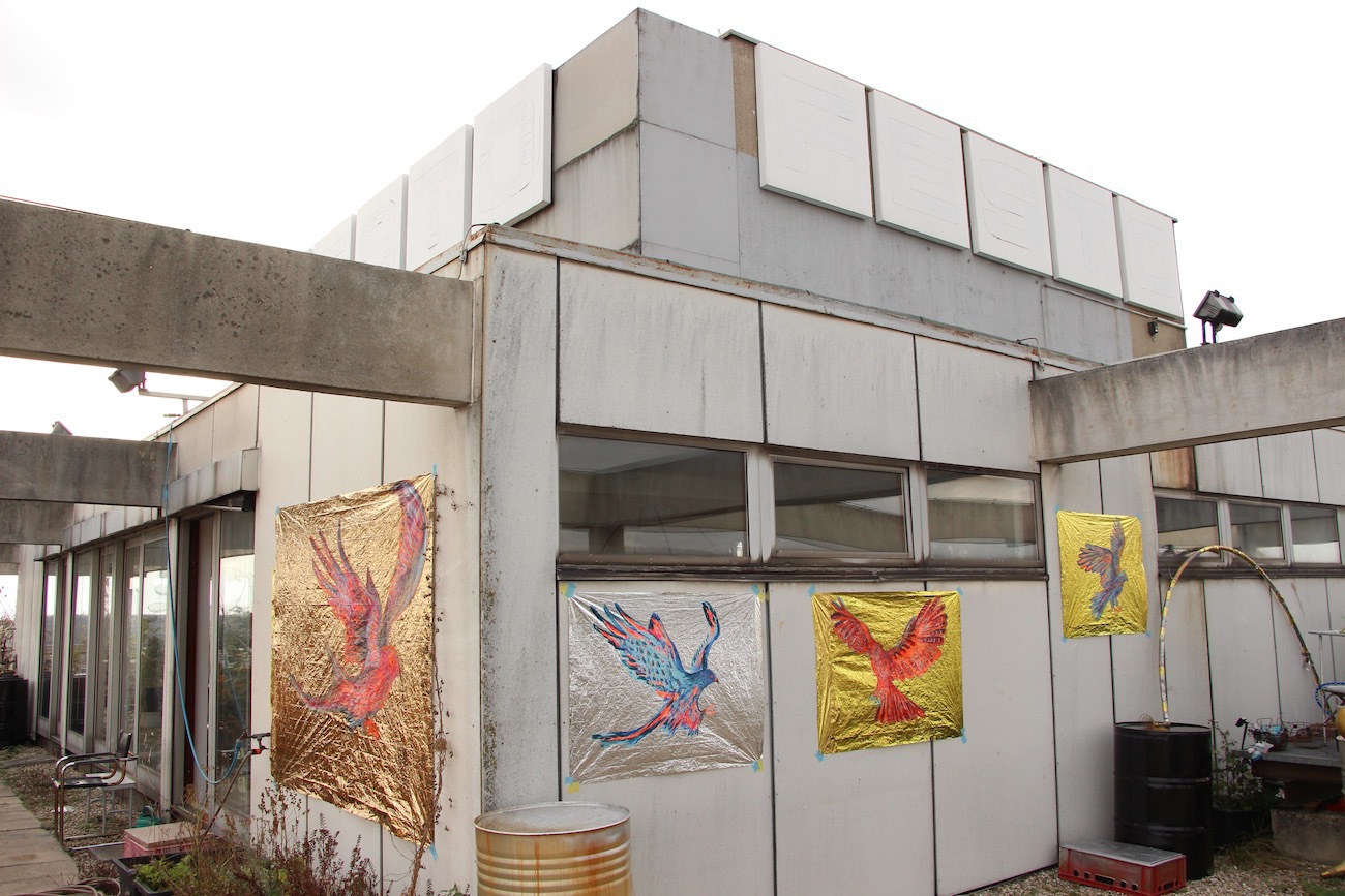 Exhibition For Birds By Barbara Anna Husar 2019 61