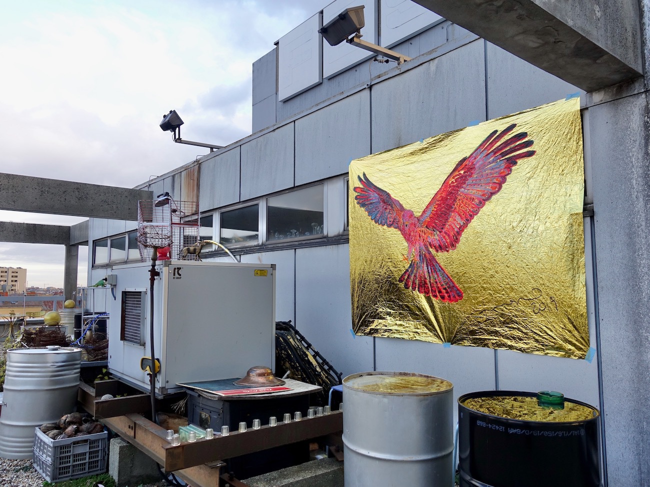 Exhibition For Birds By Barbara Anna Husar