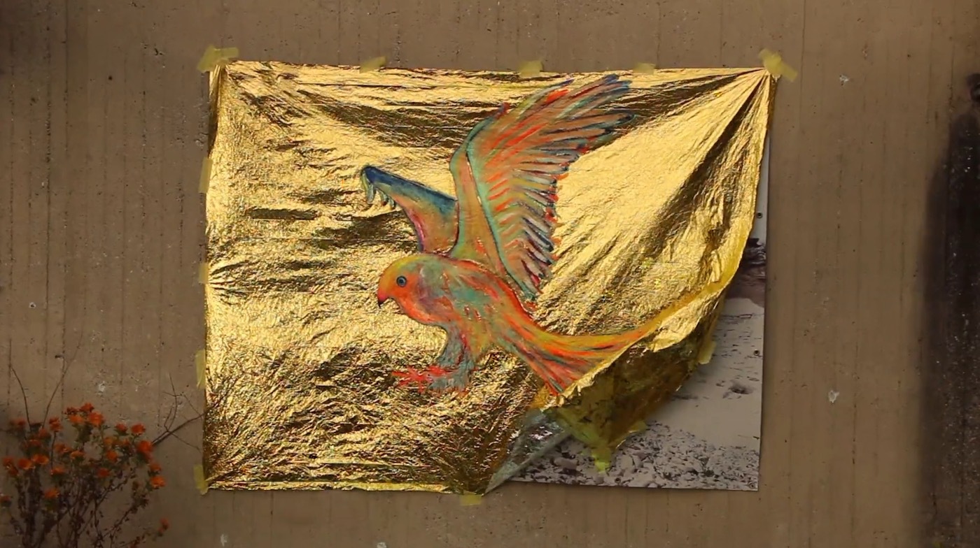 Wings