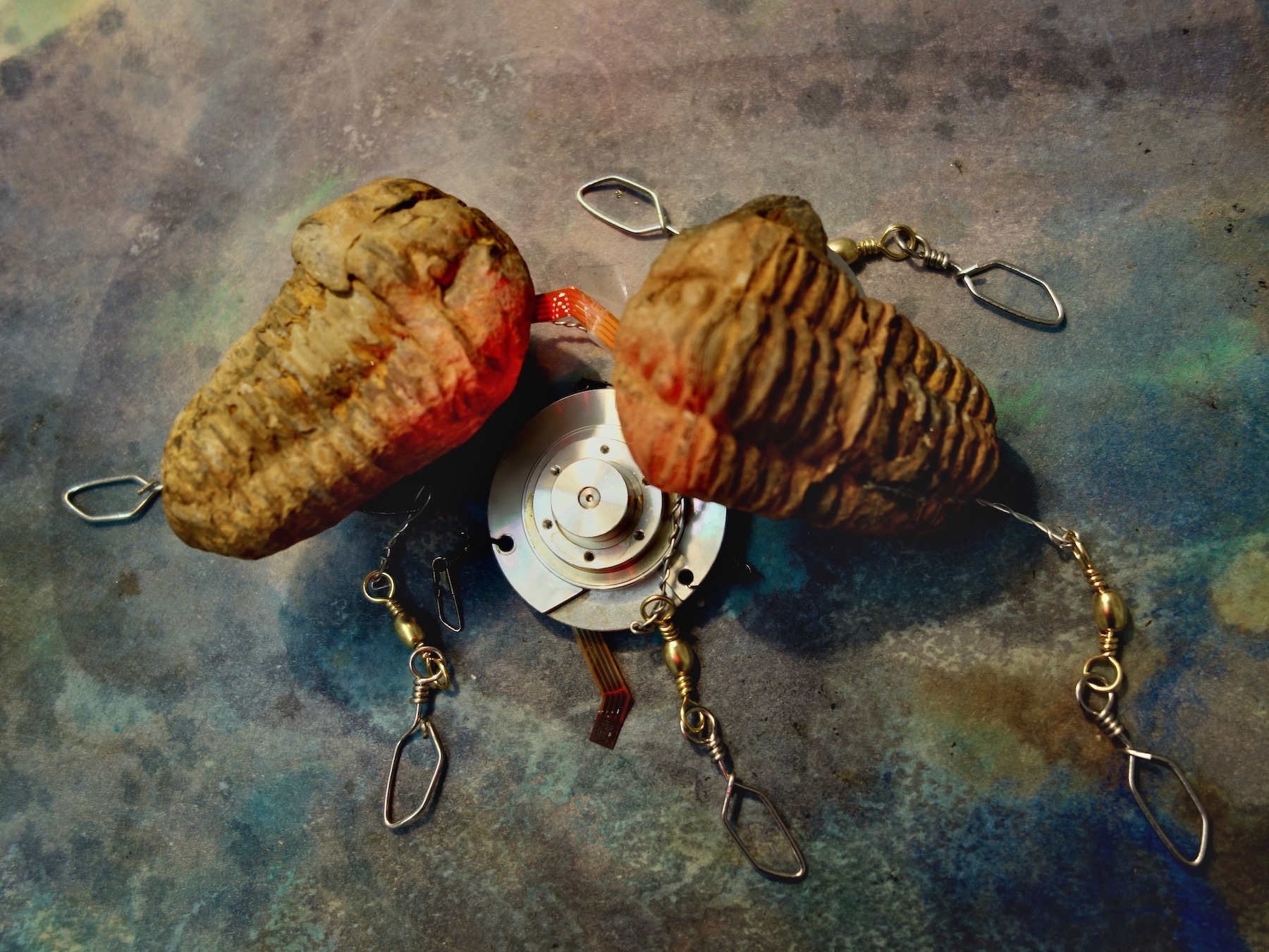 With All My Trilobits 2014 X 1
