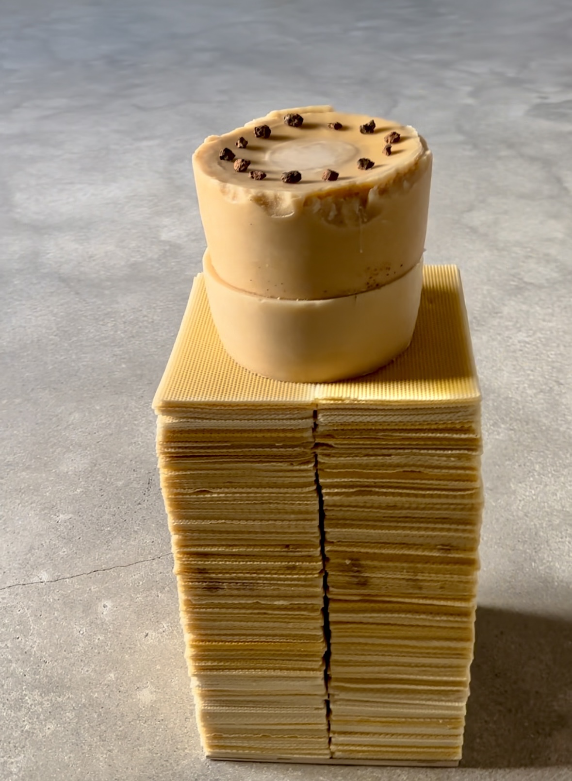 Meteorite-circle-on-bees-wax