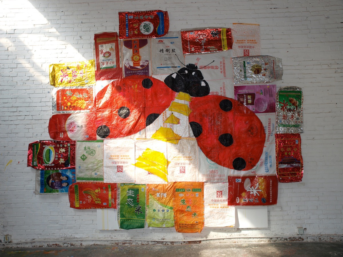 Husar Ladybird Unforbidden Flight For The Forbidden City 2011 13