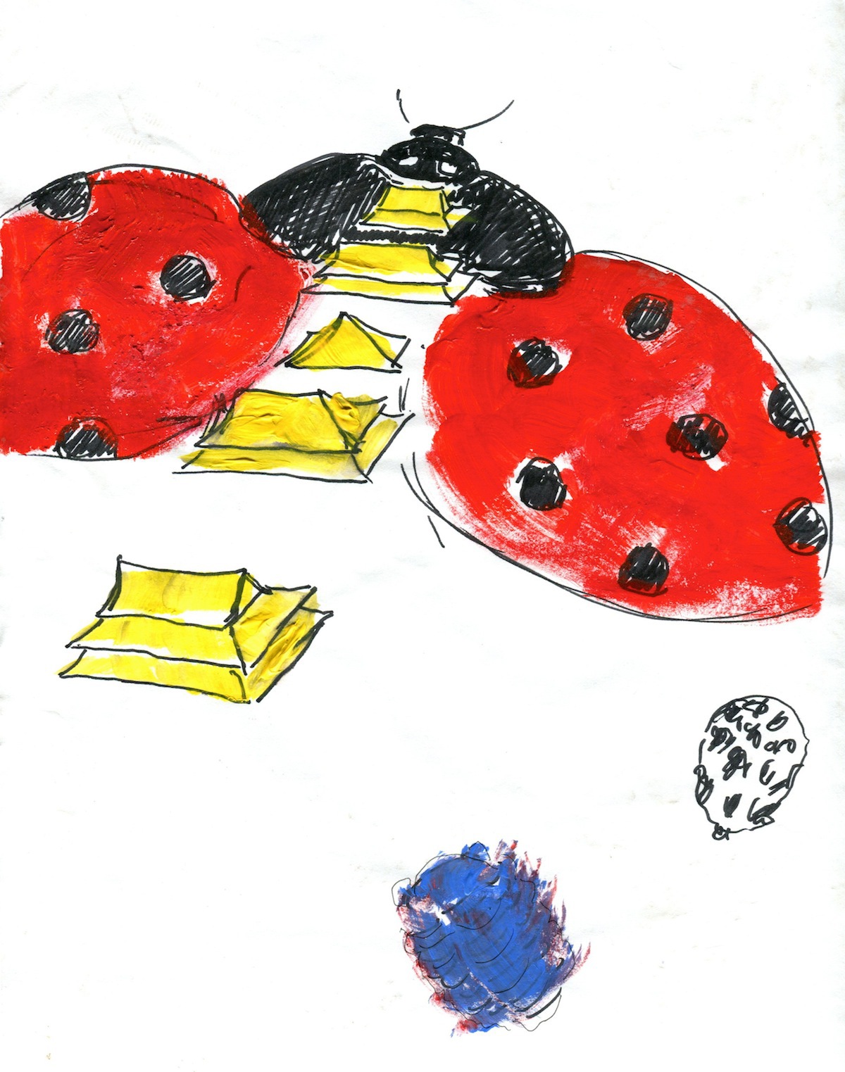 Husar Ladybird Unforbidden Flight For The Forbidden City 2011 2