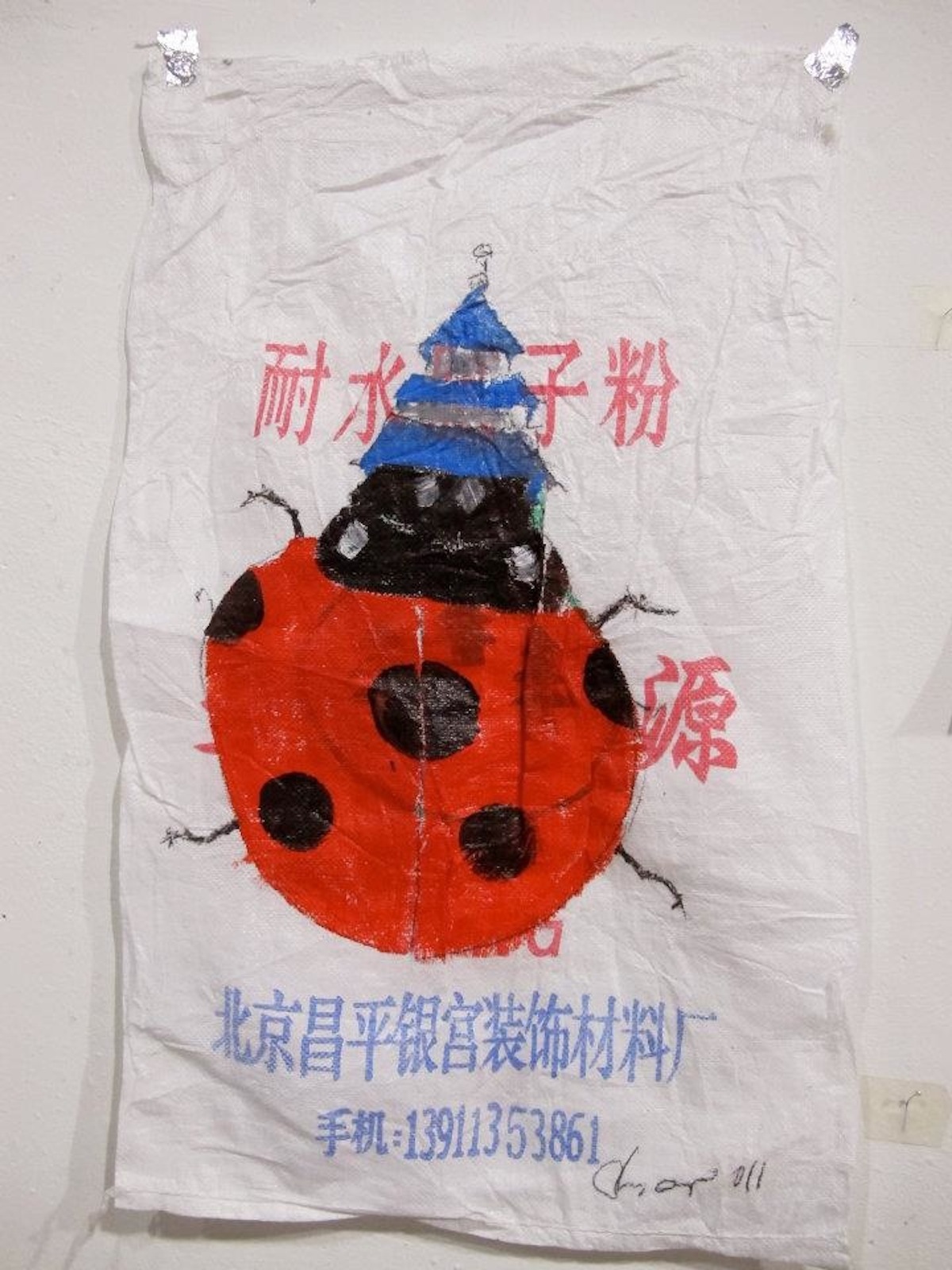 Husar Ladybird Unforbidden Flight For The Forbidden City 2011 25