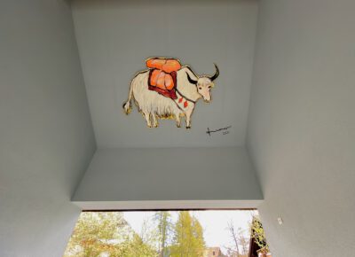 Yak Portal Tannheimertal 2021 2