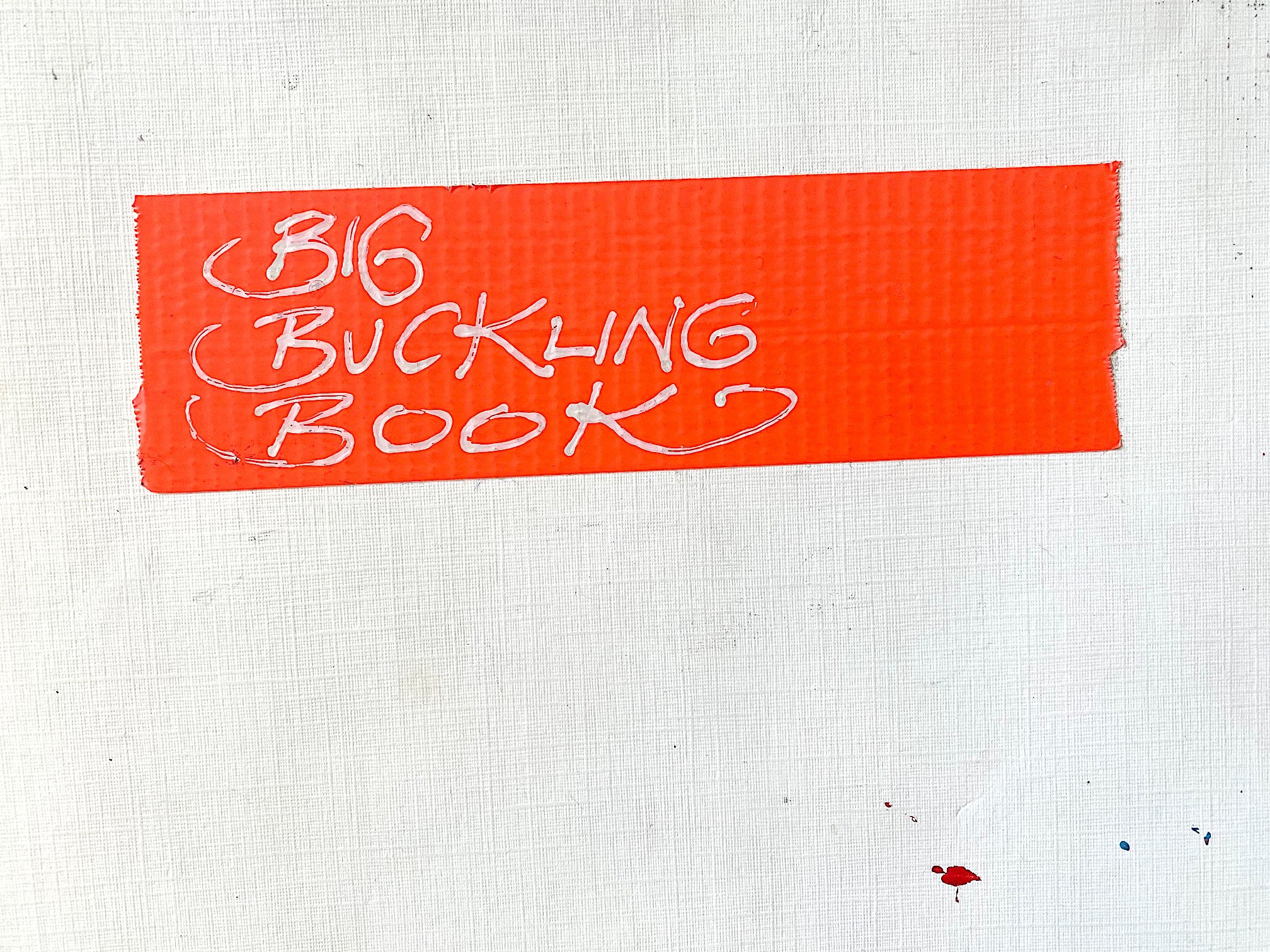 Bigbucklingbook Cover 2004