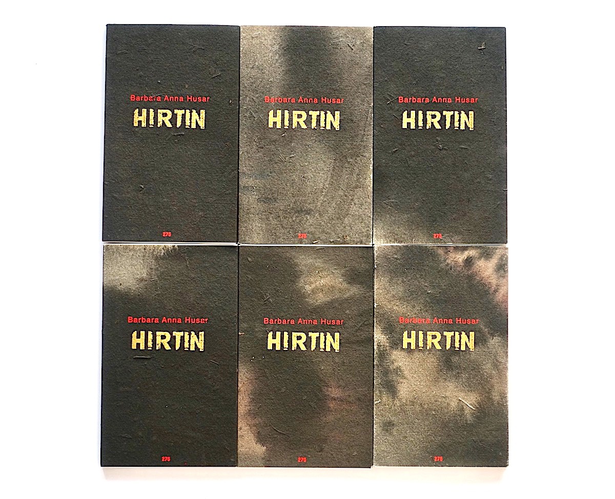 Hirtin