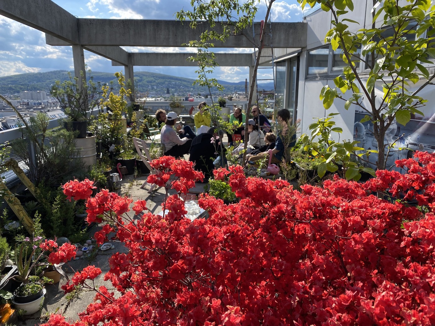 Skygarden