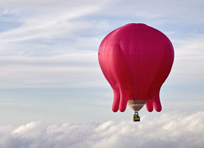 FLYING UDDER by elmar bertsch