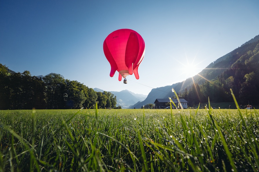 flying udder