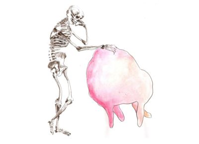 Udder sketches