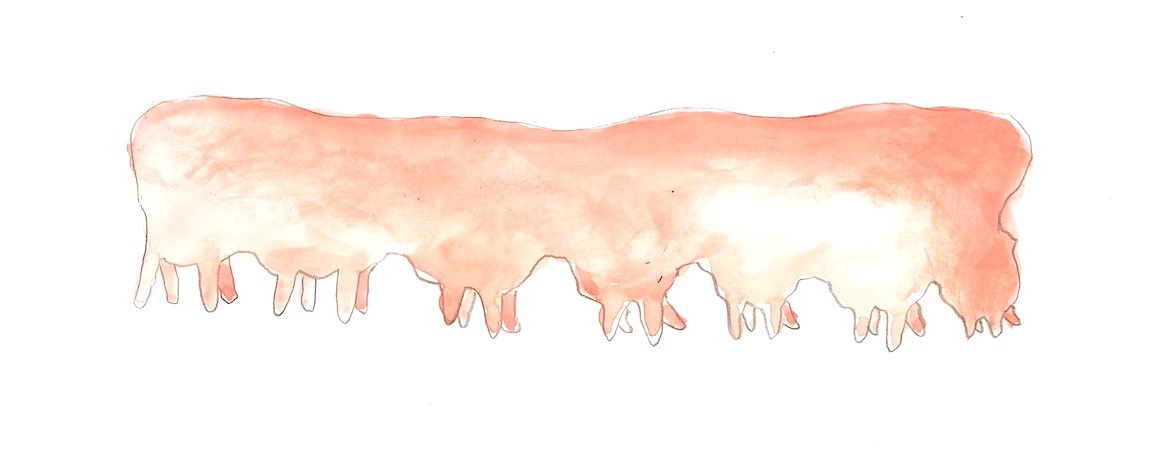 Udder And Earthworm Sketches2007 09 Barbara Anna Husar 54