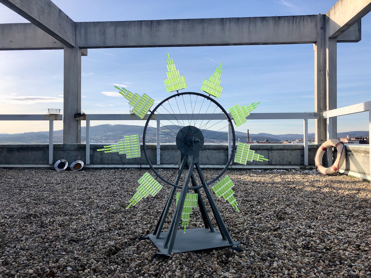 Wheel Of Balance Bubble Spirits Barbara Husar