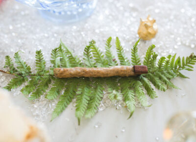 Fulgorit flute by husar photo victoria stuetz