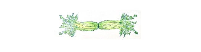 Celery