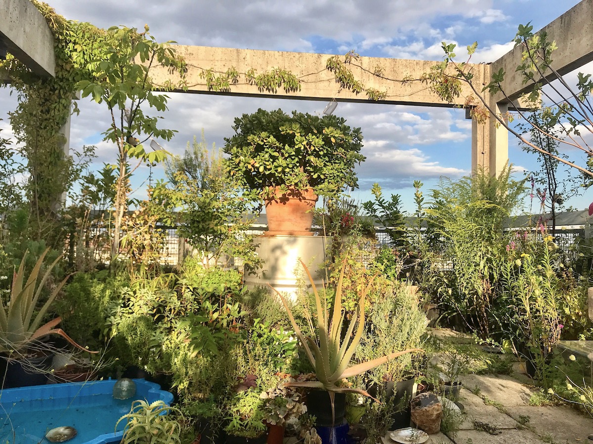 Skygarden Husar 2019
