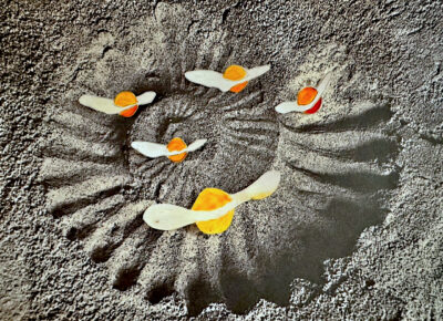 Space egg overview 74