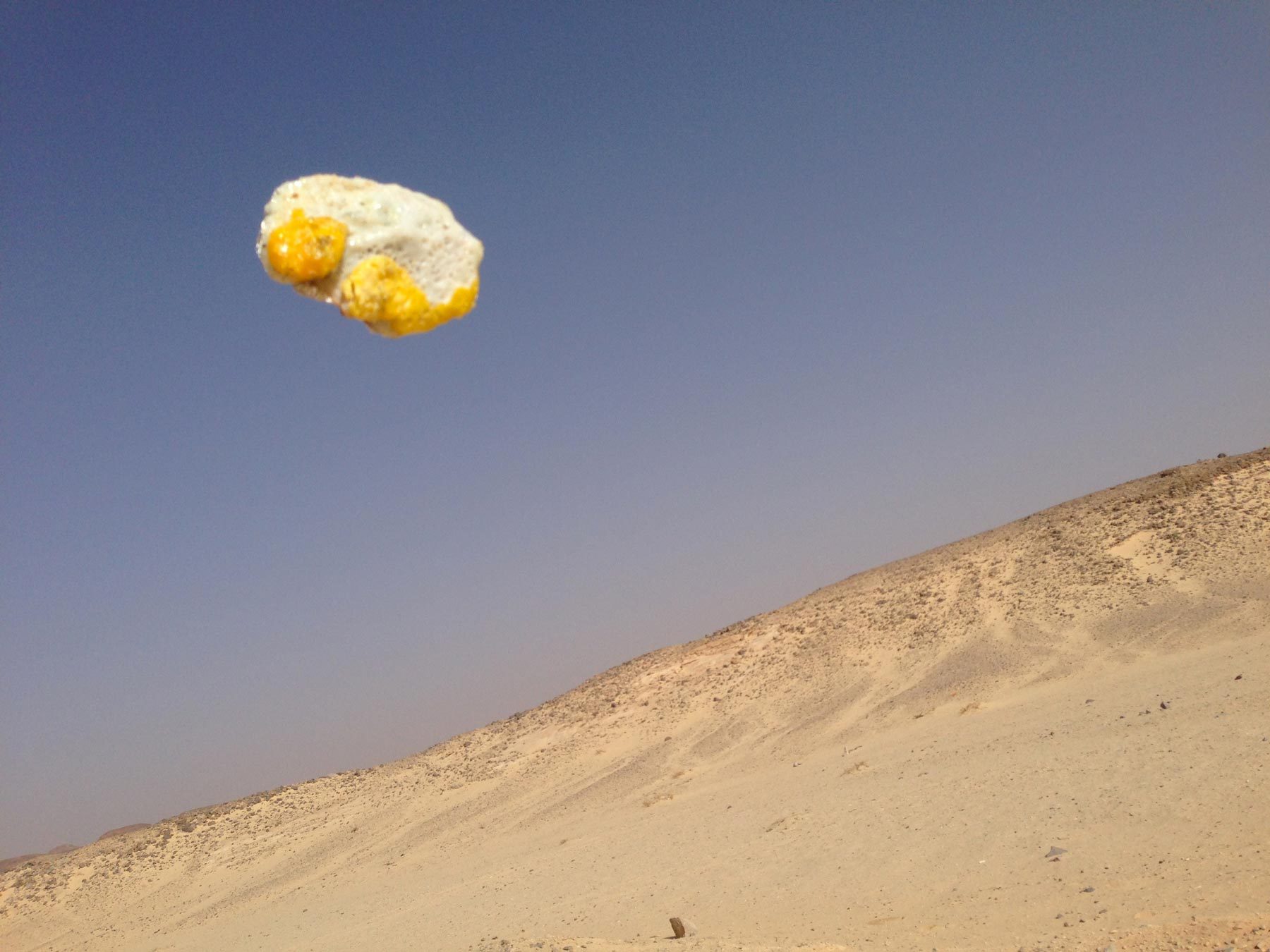 Dataexchange Eggs 01