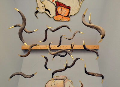 Zentrifugal fluegel yak 22 barbara anna husar 13